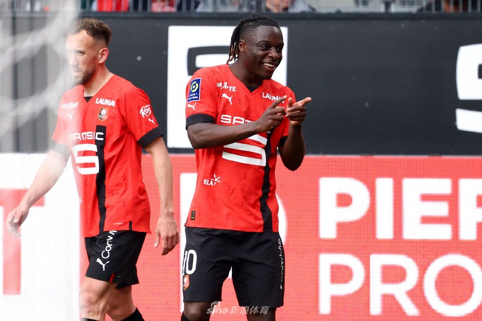 稳定器无疑 稳定器无疑